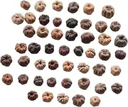 Kuntesetty 50 Pcs Mini Putka Pods Dried Fruit Craft Supplies Mini Decorative Pumpkins Fall Vase Filler for Wreaths
