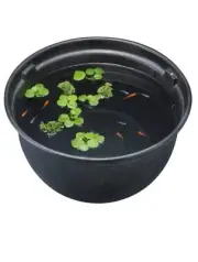 Gex Medaka bowl pot Storm drainage 16.5in Resin Black 22oz 4gal Japan killifish