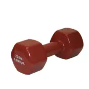 Fabrication Enterprises 10-0561 20 lbs Color-Coded Vinyl Coated Iron Dumbbell...