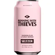 Running With Thieves Plum & Berries Seltzer Can 375mL