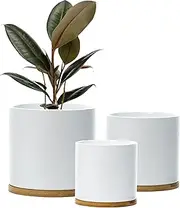 Matt White Set 3 Ceramic Plant Pots with Bamboo Coasters Indoor Planters White Pot Ser Ceramic Flower Pots Containers Outdoor Large, Medium, Small with Saucers