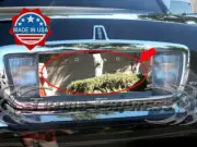 2003-UP Lincoln Town Car License Plate Trim Cover Trunk Holder Backdrop Flat (for: Lincoln)