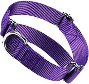 Choker Collar for Dogs, Escape Proof Dog Martingale Collar No Pull Cinch Dog Training Collars Adjustable for Small Medium Large Breed Pet Dogs, Purple L