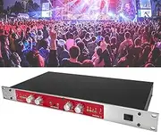 882I Professional Audio Processor, Autotune Vocal Processor, Audio Mixer Processor, Music Production Equipment, Sound Exciter, Sound Mixer for House Karaoke, Stage, Performance
