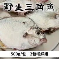 在飛比找台灣好農優惠-(2包組)【海星星】野生三角魚500g/包