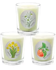 Qualitas Candles 3pc Candle Set - Orange Blossom, Paperwhite, & Daffodil