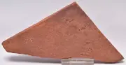 HORODYSKIA Mesoproterozoic 1.4 B.Y.O, AUSTRALIAN FOSSIL F38
