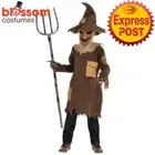 CK2640 Scary Scarecrow Boys Halloween Horror Wizard of OZ Book Week Costume