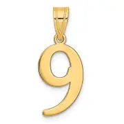14K Yellow Gold Polished Number 9 Pendant