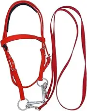 Horse Halter Bridle, Browband Headstall for Horse, Browband Snaffle Adjustable for Equine Riding, Soft Lined Equestrian Noseband