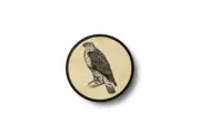 Patch badge print iron on glue falcon