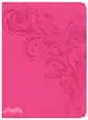 Holy Bible ─ Christian Standard Bible, Reference Bible, Pink Leathertouch
