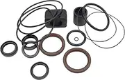 3856002 Lower Unit Gasket Seal Kit for Volvo Penta DP-S DP-SM DP-SMTD Out Drives and OMC 4.3-8.2L V6 V8 Sterndrive 0769577