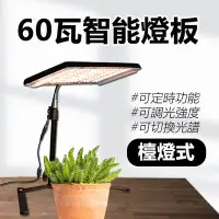 在飛比找Yahoo!奇摩拍賣優惠-植物燈廠家 君沛光電 60瓦 量子 LED 植物燈 燈版 可