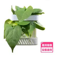 在飛比找momo購物網優惠-【YOYO 悠悠水族】鳥用蔬果專用餵食器_三入組(鳥用品、鳥