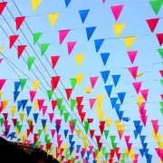 100M Triangle Flags Bunting Banner Pennant Festival Wedding/Party Garden Decor