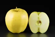 Buy Dwarf Apple Golden Delicious Fruit Trees (Malus domestica)