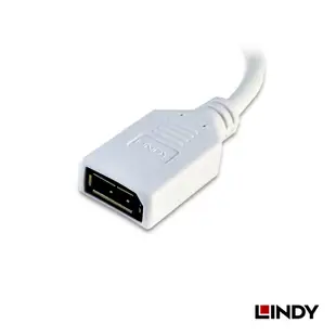 LINDY 轉接器 MINI DISPLAYPORT 公 TO DISPLAYPORT 母 轉接器 20公分 41021