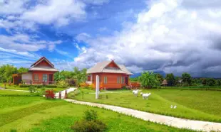塔恩傑德頓石排度假村Tarnjedton Pai Resort