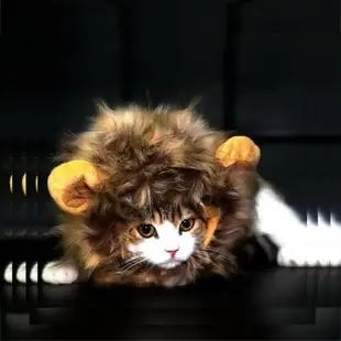 貓咪頭套寵物小獅子頭套貓帽子狗狗泰迪頭飾圣誕節生日搞怪網紅帽