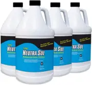 Pro Products Neutra Sul HP01B Professional Grade Oxidizer, Neutralize 4-Pack