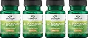 Swanson L. Plantarum Probiotics Bowel Regularity Gas Bloating Immune Support Gastrointestinal Balance 10 Billion CFU Supplement 30 Veggie Capsules (4 Pack)
