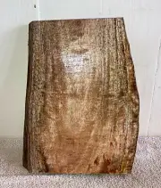 One Piece Hawaiian Mild Curl Mango Board ~ 12 1/3" x 9 1/2" x 1 1/3" (#827)
