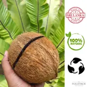 Matching Original Organic Raw Two Coconut Shell Halves for Craft Bird Nests Bowl