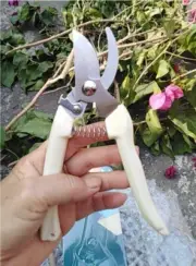 1Pc Pruner hand shears Best Tree Trimmer Garden Shears Hand Pruner Scissors Thai