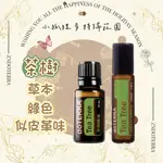 DOTERRA® 多特瑞茶樹精油 15ML TEA TREE 公司貨 夏日 提神醒腦 家庭醫生 口氣清新 疼痛調節