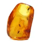 Genuine Baltic Amber Fossil Swarm of 4 Gnat Insects 2.33g Natural Rare Inclusion