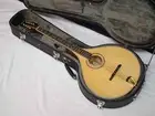 GOLD TONE OM-800+ 8-string electric Octave MANDOLIN new w/ CASE