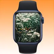 Apple Watch Series 6 (40MM, Blue) Australian Stock - Excellent