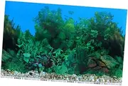 Aquarium Sticker Double Sided Glass Decal for Fish Tank Background Decoration Removable Wallpaper for Smooth Surfaces Stylish Sea World Design