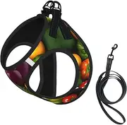 Vegetable Fruit print Dog Harness and Leash Set, Reflective Adjustable Puppy Vest for Small Medium Large Dogs, Cats
