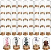 Mezchi 50 Pack Cloche Bell Jar, Mini Glass Jars with Cork Lids, 8ml Glass Dome Cloche with Base, Decorative Display Dome for Specimen, Flower Storage, Arts Dispaly, Party Favor