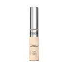 L'Oreal Paris True Match Radiant Serum Concealer 2C