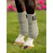 IT04090 LeMieux Classic Polo Bandage Wraps - Fern NEW