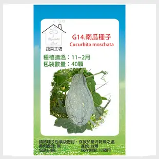 G14.南瓜種子40顆