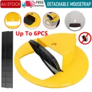 Mouse Trap Flip N Slide Bucket Lid Mouse Rat Trap With Ladder Mouse trap Catcher