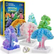 National Geographic Craft Kits for Kids - Crystal Growing Kit, Grow 6 Crystal Tr