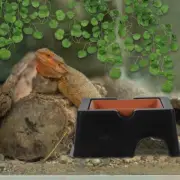 Humidified Shelter Aquarium Landscape Cave Reptile Escaping Hideout