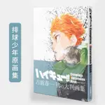 🔥 臺灣熱賣 🔥畵集 排球少年 COMPLETE ILLUSTRATION BOOK WGNM