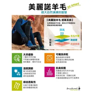 Smartwool 美國 女款 PhD Ski 雙版 滑雪襪 膝下襪 襪子 抗臭 抑菌 美國製造 SW015018