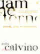 Adam, One Afternoon (Vintage Classics)