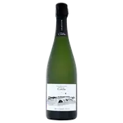 2015 Champagne Vincent Couche Millesime Brut Nature - Buy Online | The Wine Collective Marketplace