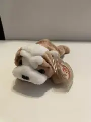 TY ORIGINAL Beanie Baby Wrinkles- tag errors!1996 BRAND NEW W/TAGS & PROTECTOR