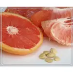 葡萄柚籽萃取液/抗菌劑  (手工皂/保養品/清潔用品DIY素材)