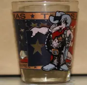 TEXAS ARMADILLO SHOT GLASS ART WESTERN HOME DECOR SOUVENIR