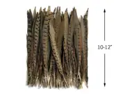 10 Pieces - 10-12" Natural Brown Ringneck Pheasant Tail Feathers Costume Craft